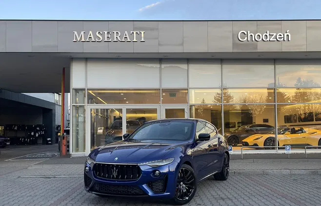 samochody osobowe Maserati Levante cena 186175 przebieg: 12, rok produkcji 2023 z Grodków